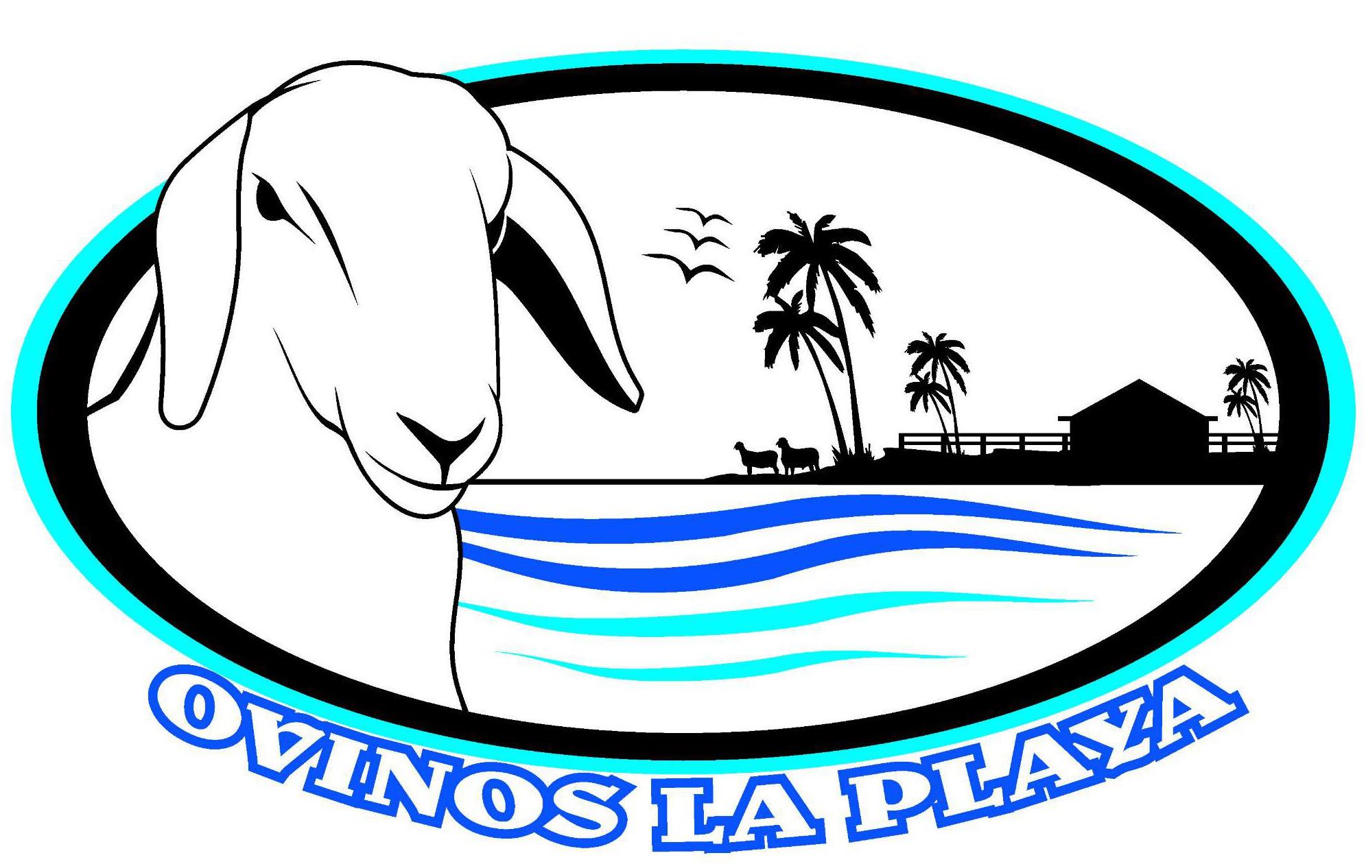 OVINOS LA PLAYA